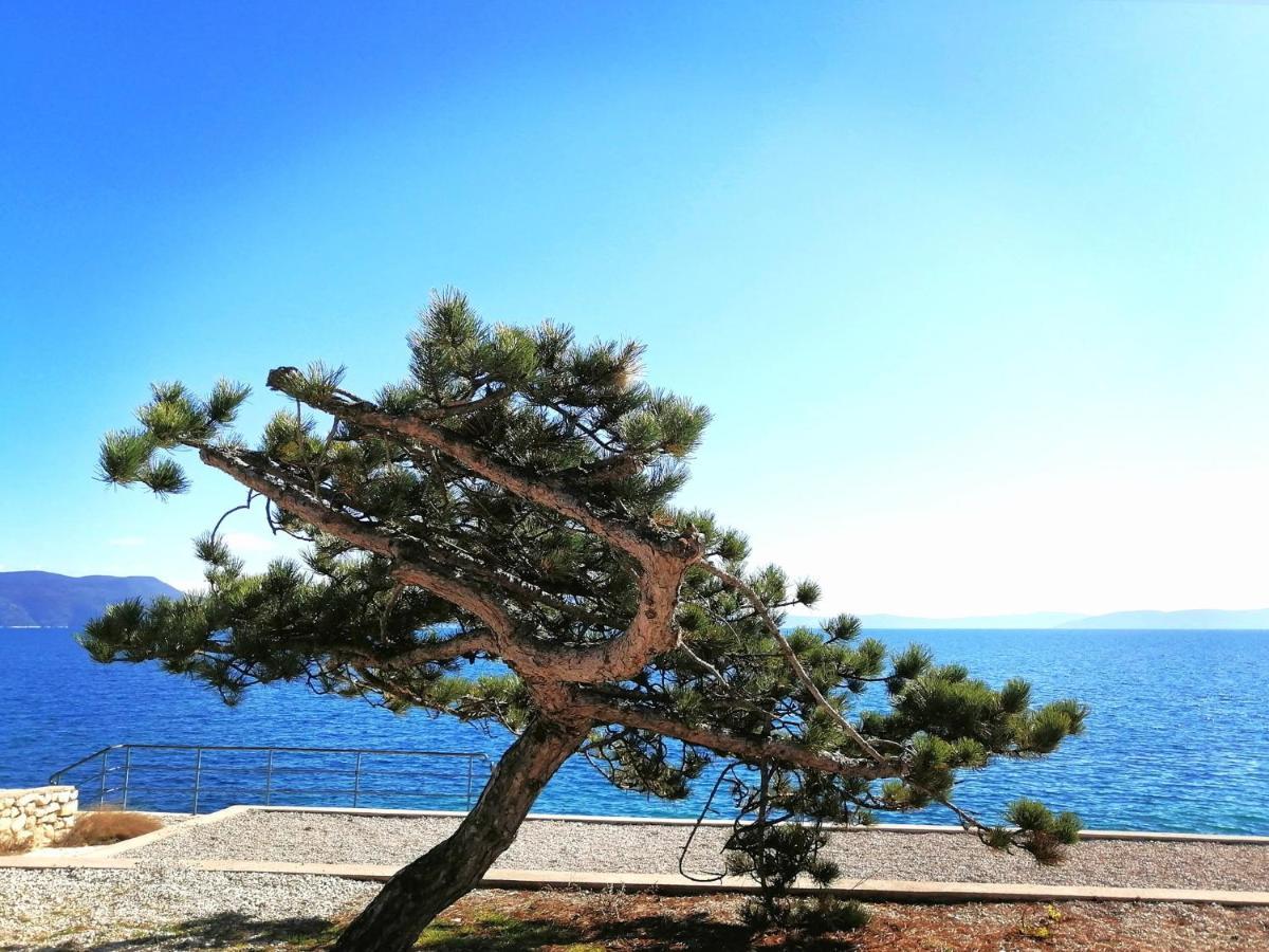 Apartment Rosanna - Intermezzo in center of Rabac Esterno foto